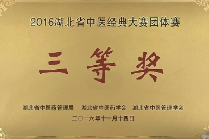 2016湖北省中医经典大赛团体奖三等奖