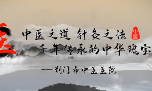 中华瑰宝·针灸之