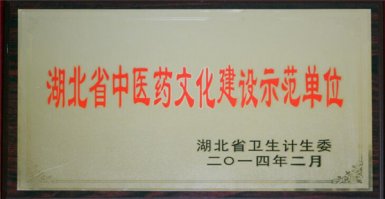 2013年以后所获荣誉